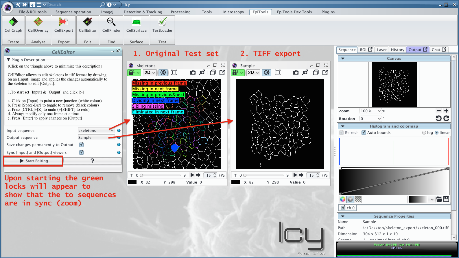 CellGraph output