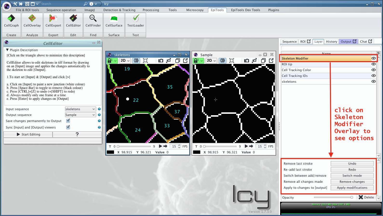 CellGraph output