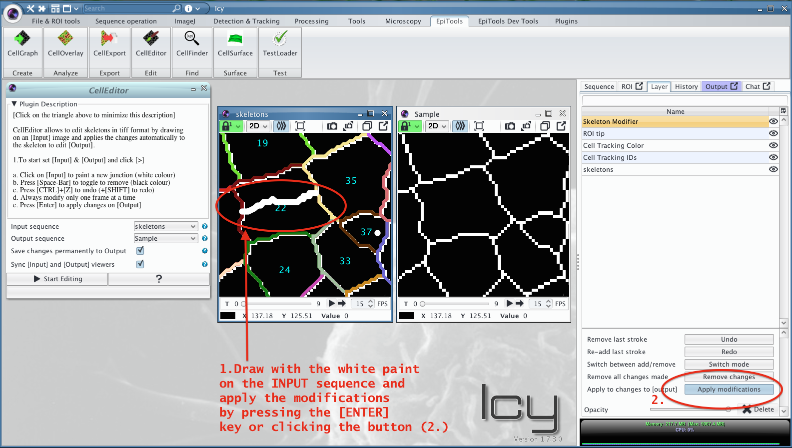 CellGraph output