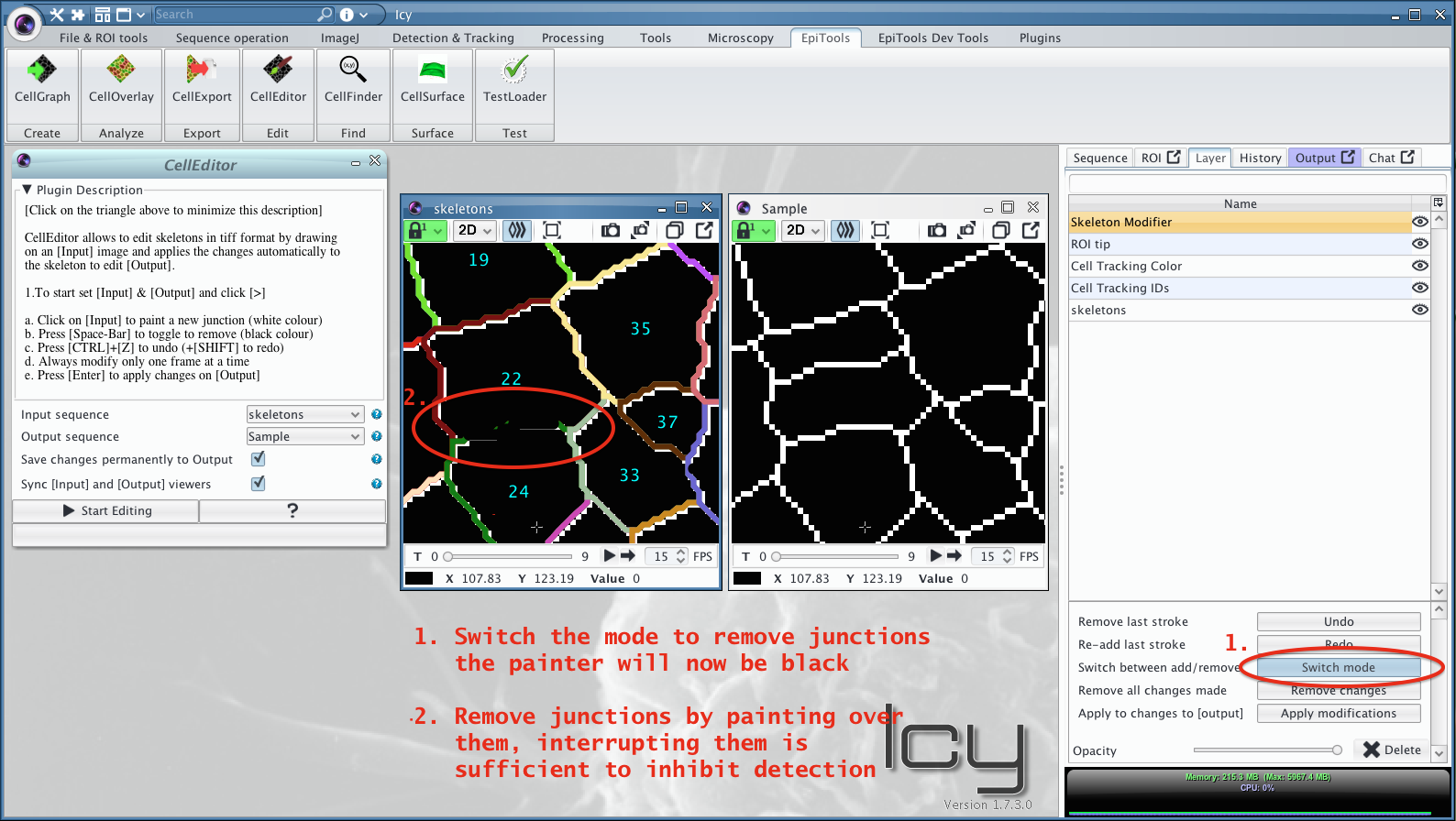 CellGraph output