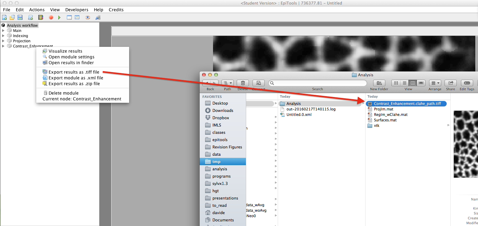 Matlab tracking export