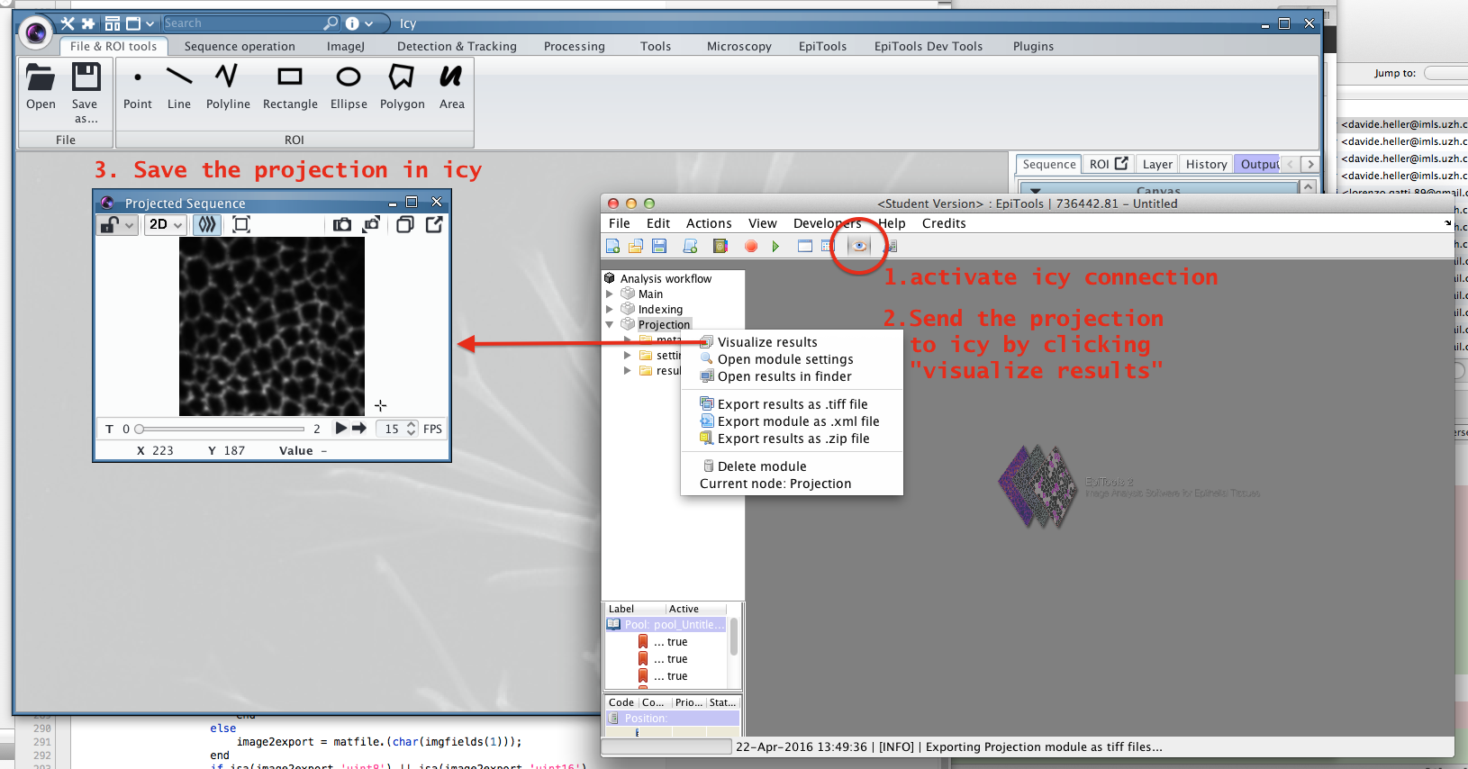 SourceTree_BranchCheckout